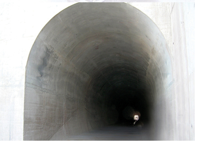 ���Ĵ���ˮ����Ŧ����