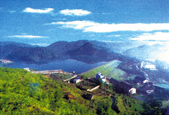 ���ӹ̴���������ɽˮ��ཬ3690��