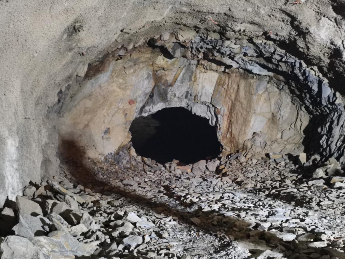 6688体育-全网最权威热门体育赛事直播免费在线平台_6688综…