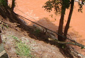 东升国际官网-相信品牌力量