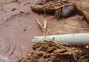 东升国际官网-相信品牌力量