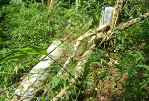 东升国际官网-相信品牌力量