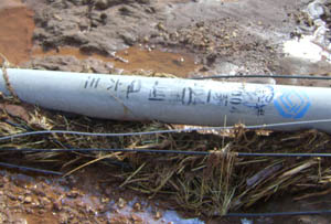 东升国际官网-相信品牌力量