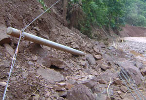 东升国际官网-相信品牌力量