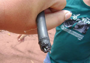 东升国际官网-相信品牌力量