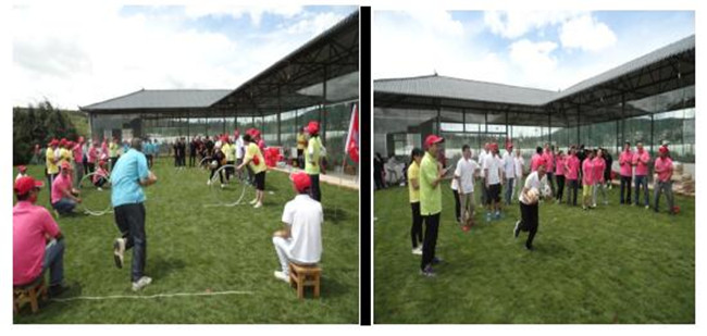 东升国际官网-相信品牌力量